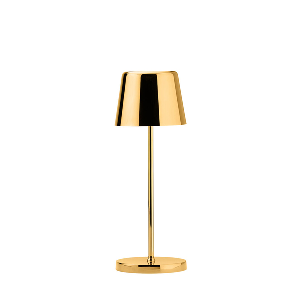 20cm Bermuda Micro Led Lamp Gold Pvd