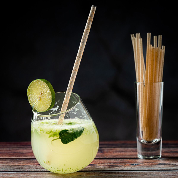 21cm Agave Drinking Straws