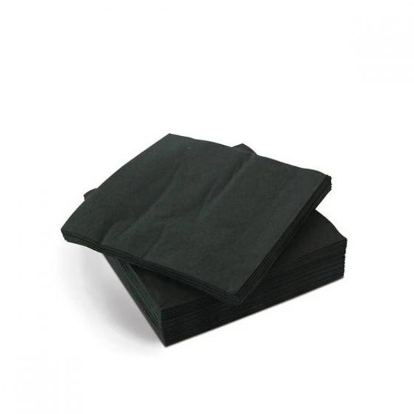 24cm 2ply Everyday Cocktail Napkin Black