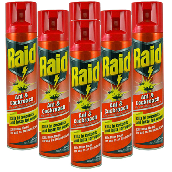 300ml Raid Crawling Insect Killer